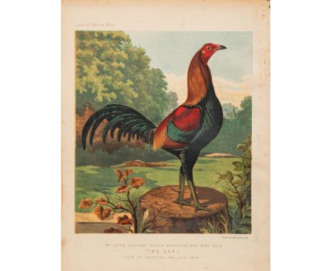 WRIGHT, Lewis - The Illustrated Book of Poultry : 50 chromo-lithograph plates, cloth boards detached, 4to, 1880. With 2 other
