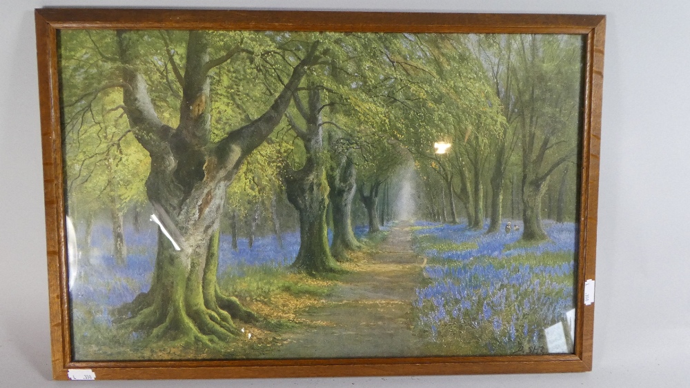 A Framed Print Depicting Bluebell Wood, 48cm Wide