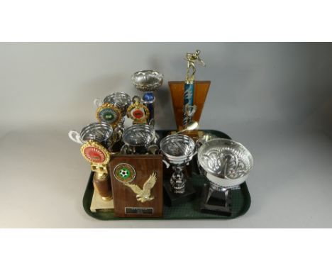 A Tray Containing Various Sporting Trophies