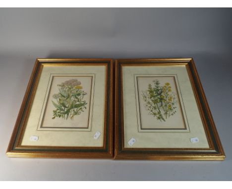A Pair of Framed Botanic Prints