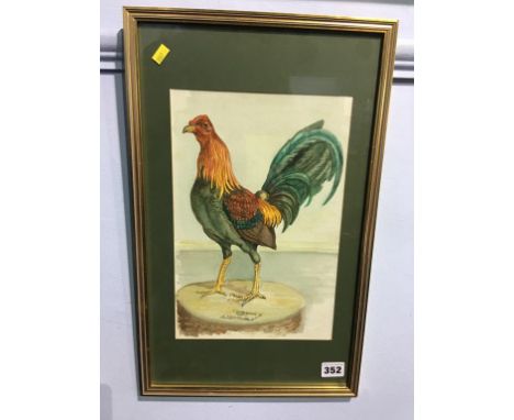 R. Robinson, watercolour, signed, dated 1984, 'Golden Duckwing Champion 1802', 31 x 20cm