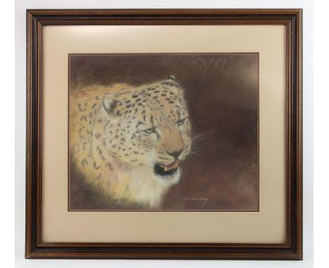 M. Ramsay (South African, twentieth century), portrait of a cheetah, pastel, signed lower right, 41 x 50cm, framed and glazed