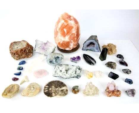Collection of geodes, crystals and fossils, including an amethyst segment, rock crystal, rose quartz, together with a Himalay