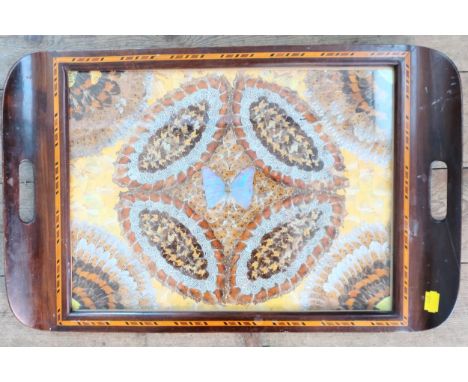 A tea tray decorated with butterfly wings. Vintage.