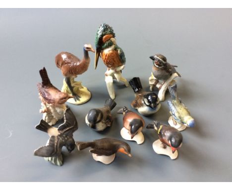 A collection of eleven Goebel birds to include hawk, blue tit and goshawk.