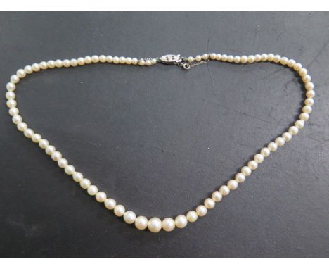 A string of pearls, 46cm long, with a 9ct white gold clasp, largest pearl approx 7mm 