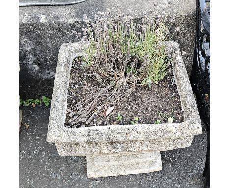 SQUARE STYLE PLANTER ON PLINTH     