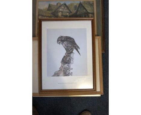 Three prints and watercolour to include a limited print limited print by Adrian Baumgartner  7/300 of a little owl  