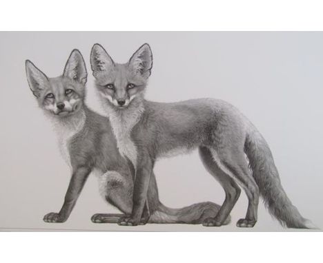Gary Hodges limited edition print 532/1100 'Little Foxes' pencil signed - approx.&nbsp;