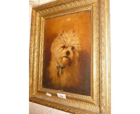 Victorian oil portrait of a West Highland Terrier in gilt frame, 17" x 14" inc. frame