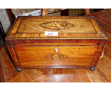 Georgian walnut tea caddy with inlaid shell and musical instruments motifs. Having bun feet and lion handles. Measuring appro