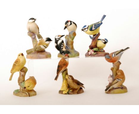 A set of six Royal Worcester bisque models of birds comprising, Linnets 3365, Yellow Hammers 3377, Blue Tits 3375, Coal Tits 