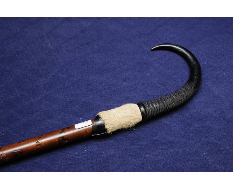 Early 20th C walking stick with steel point and dear horn handle, the shaft with various names