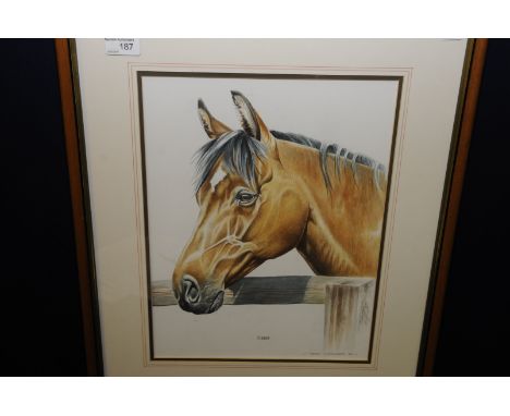 Framed and mounted watercolour 'Tigger',  a portrait of horses head by Peter Currington 96 
