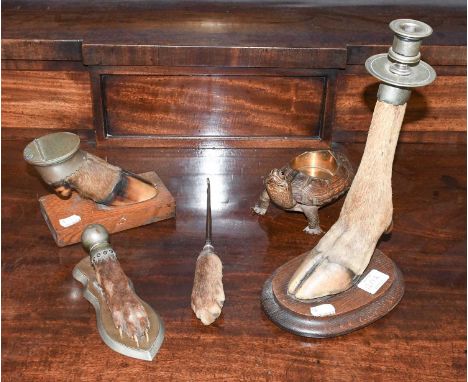 Natural History: A Group of Late 19th Century Natural History Collectibles, to include - a red deer slot silver plate mounted