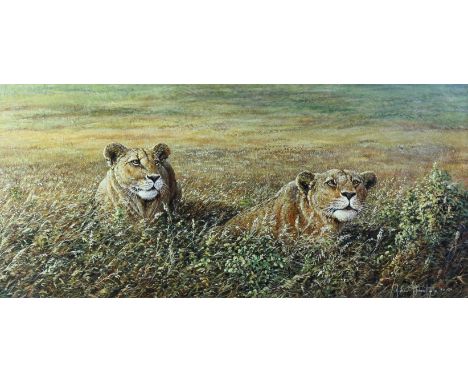 Michael Kitchen-Hurle (1941) Hunting Lionesses, acrylic on board, signed and dated 90, 27cm x 59cm, framed and glazed.Sold on