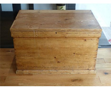 A 19thC pine trunk of rectangular form, with twin iron handles, raised on a plinth base, 59 x 98 x 66cm.