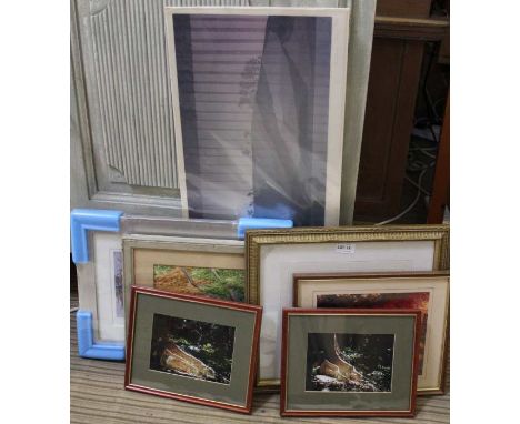 A selection of mixed prints