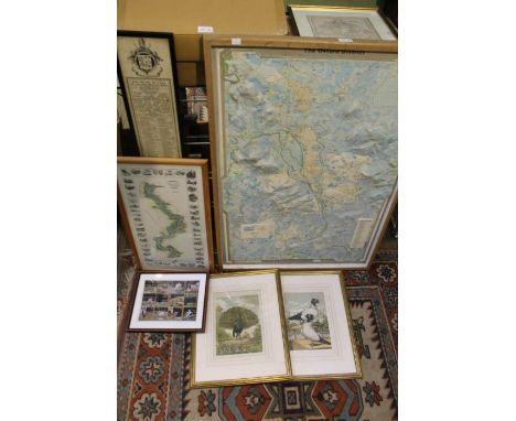 A large &amp; varied selection of pictures &amp; prints including maps and birds.&nbsp;