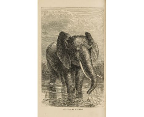 NO RESERVE Africa.- Andersson  (Charles John) The Okavango River, first edition, frontispiece and 15 plates, additional vigne