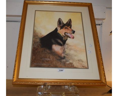 John Lewis Fitzgerald (contemporary)Portrait of a German Shepherdsigned, watercolour, 40cm x 30cm