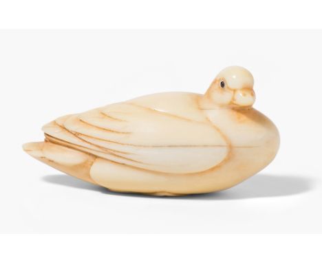 Netsuke Japan, 20.Jh. Elfenbein. Signiert Sen. Wasservogel. L 5,2 cm. - Haarrisse.This item is not legal to sell in the UK.