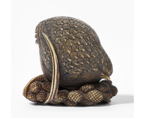 Netsuke Japan, 19./20.Jh. Elfenbein. Unsigniert. Wachtel mit fein gezeichnetem Gefieder auf Hirsekolben. H 1,9 cm. - Risse.Th