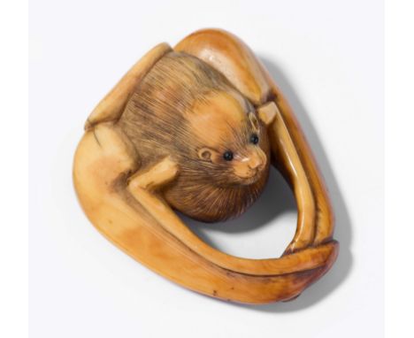 Netsuke Japan, 18./19.Jh. Elfenbein. Unsigniert. Fledermaus. Der Körper naturalistisch dargestellt mit feiner Behaarung und S