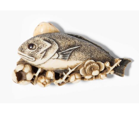 Netsuke von Tomotada Japan, 19.Jh. Elfenbein. Signiert Tomotada. Fisch auf Pflaumenzweig voller Blüten. L 6,6 cm.This item is