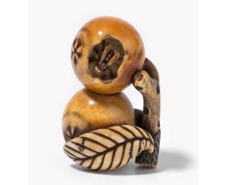 Netsuke von Ohara Mitsuhiro (1810–1875) Japan, Osaka, Mitte 19.Jh. Elfenbein, patiniert. Signiert Mitsuhiro mit Kao. Zwei Biw