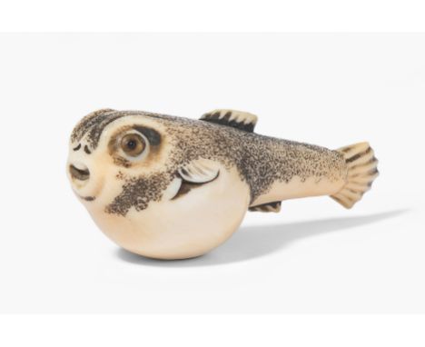 Netsuke Japan, 19.Jh. Elfenbein. Unsigniert. Fugu. L 5 cm.This item is not legal to sell in the UK.
