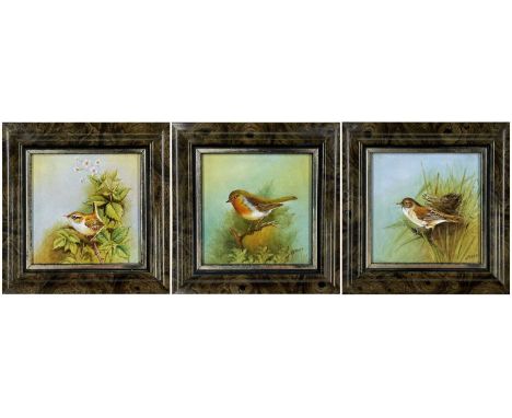 THREE FRAMED PORCELAIN PLAQUES HANDPAINTED WITH BIRDS, to include robin, wren and reed warbler, signed 'Nigel Creed' (ex Roya