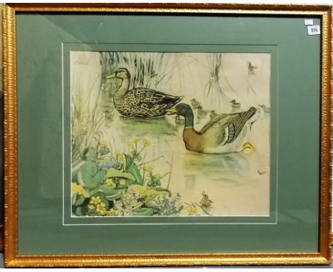 AFTER MURIEL DAWSON  A pair of ducks. Colour print. 17' x 20'.