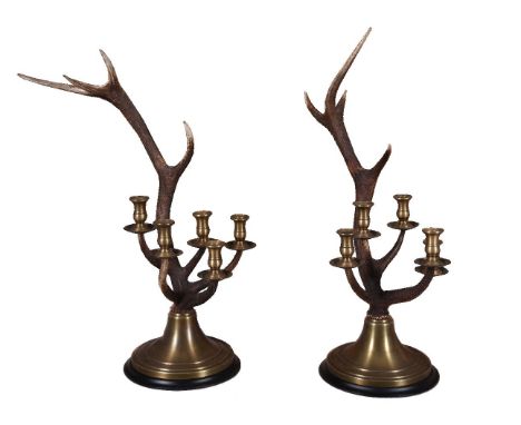 A pair of antler mounted five light brass candelabra by Redmile London, modern, the antlers supporting turned brass sconces a