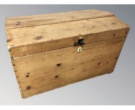 An early 20th century pine trunk, width 77 cm.