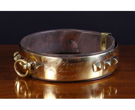 A French Leather-lined Brass Dog Collar for a hunting dog. The oval brass band adorned with square pyramidal studs and having