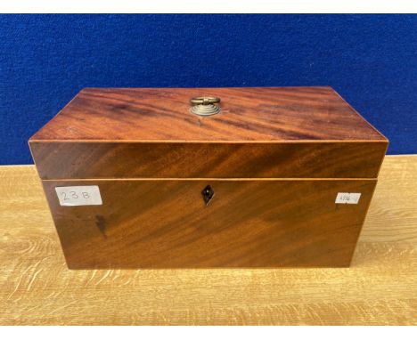 19th century double sectioned tea caddy 
