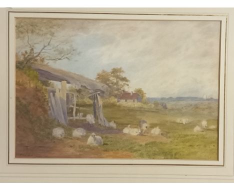 Robert A.K Marshall (1849-1923)Watercolour depicting landscape with sheep grazing near a farm, signed.[33x43cm] 