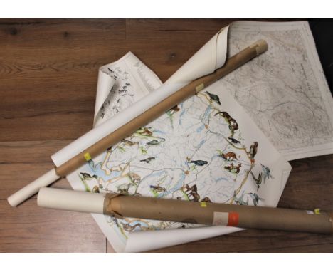 Two tubes of posters, Ordnance Survey maps etc
