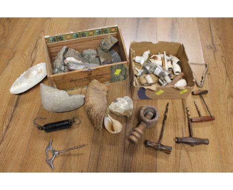 Box of mineral stones, shells and box of corkscrews, pipe ends, etc. 