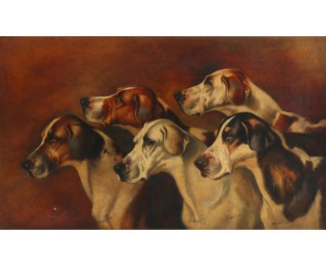 Alfred Wheeler (1852-1932) Portrait of five foxhounds Signed, dated and inscribed A Wheeler/1842/COMRADE/Fidocol/Ventnor/Saun