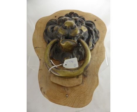 A Large Antique Brass Lion Head Door Knocker, mounted on an oak surround   approx 30 x 18 cms. 