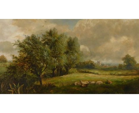19thC British School. Sheep in rural landscape, oil on canvas, 39.5cm x 59.5cm.
