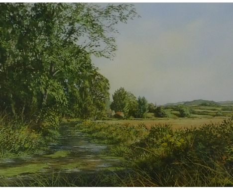 Tony Malton (20thC). Country landscape, watercolour, signed, 26.5cm x 36cm.Label verso Gadsby's Leicester.