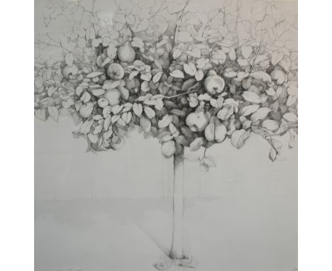 Raquel Alvarez Sardina (Spanish b.1967) pencil/graphite on paper 'Membrillo III' a large depiction of a quince tree, framed a