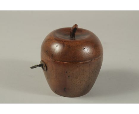 A GOOD PAINTED APPLE TEA CADDY. 4ins.