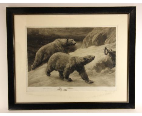 Herbert Thomas Dicksee (British, 1862–1942),'In The Silent North', polar bears beside a broken sledge,Etching on vellum, publ