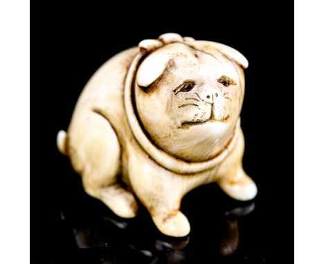 A Japanese ivory netsuke in the form of a dog, in the manner of Ohara Mitsuhiro, unsigned, height 2.5cm 