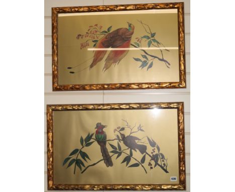 English Schoolpair of coloured printsStudies of Birds of Paradise 14 x 24in. and a similar fan shaped print