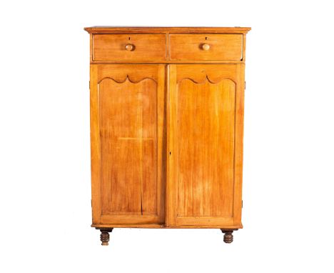 Rectangular moulded top above a pair of frieze drawers, with a pair of panelled cupboard doors below enclosing shelves on rin